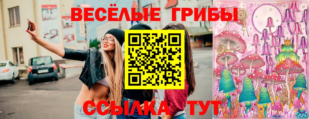 Галлюциногенные грибы Cubensis  Галлюциногенные грибы Psilocybe  Вход с VPN  Кольчугино 